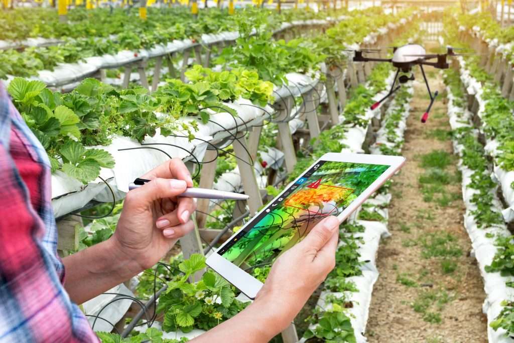 Drone Working Amongst Aquaponics