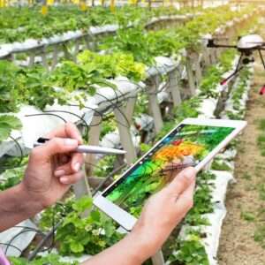 Agriculture Using Drones At Coffs Harbour Drones